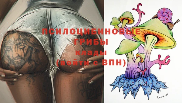 бошки Зерноград