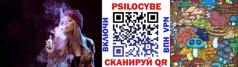 Купить закладки  Пенза  Галлюциногенные грибы Cubensis